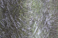 Llanegwad fibreglass roof work